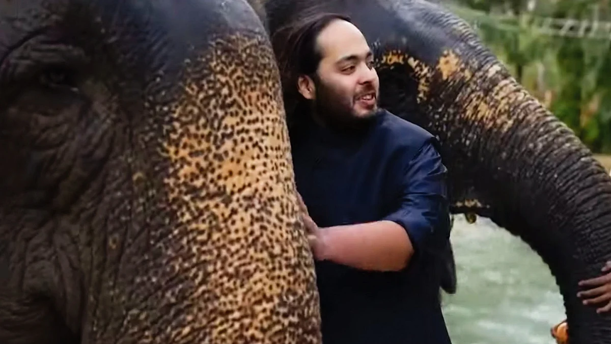 Anant Ambani rescued elephants in Vantara