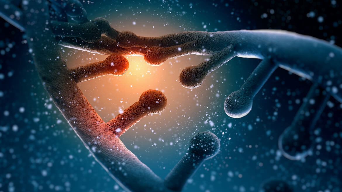 genetic engineering endager animal